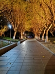 夜景