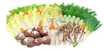 食材