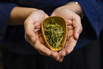 手捧茶叶