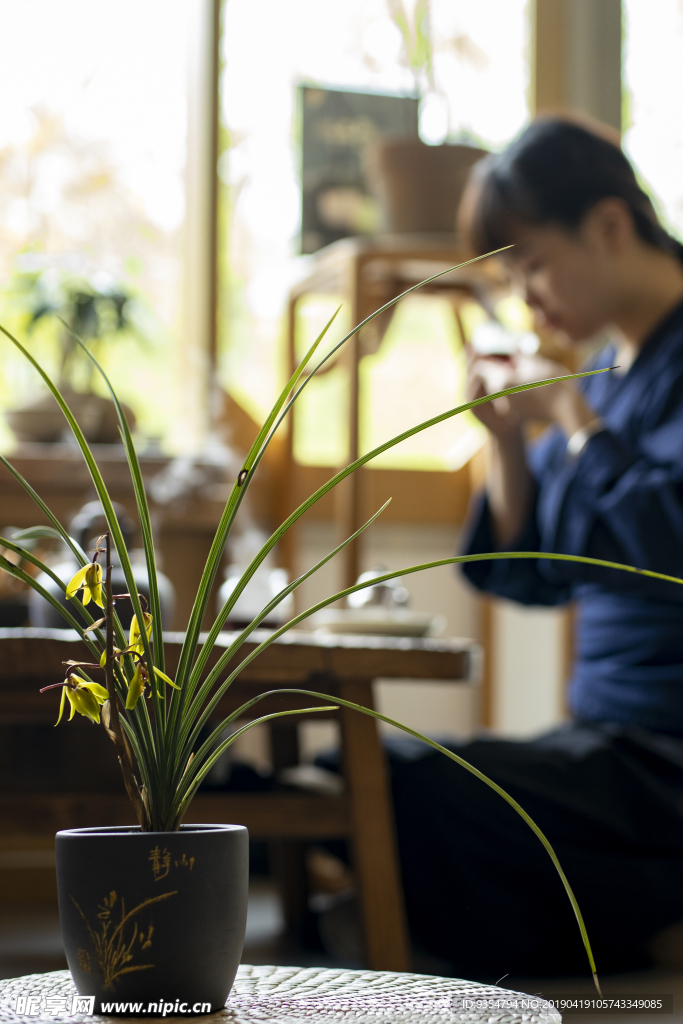 冲泡普洱茶