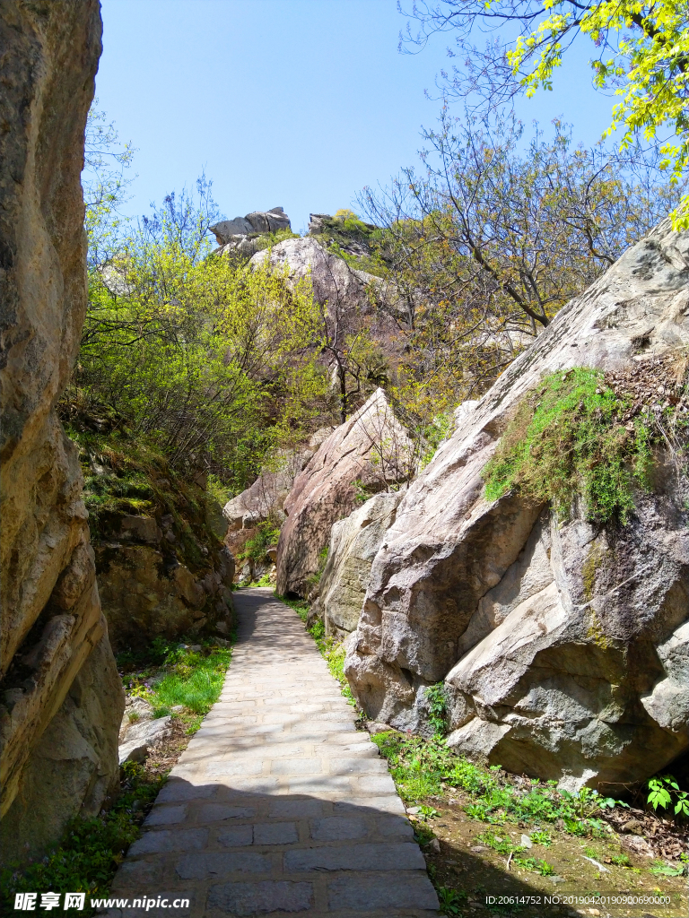 美丽的公园风景