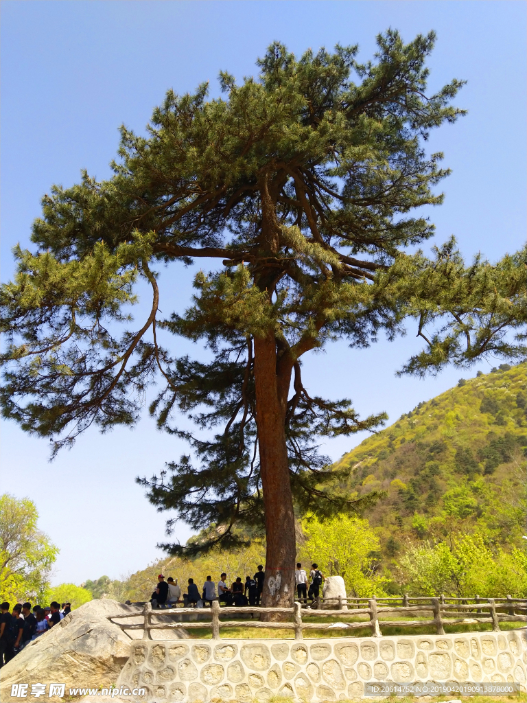 美丽的公园风景