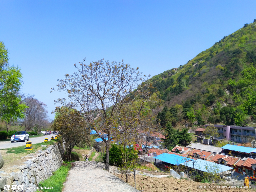美丽的公园风景