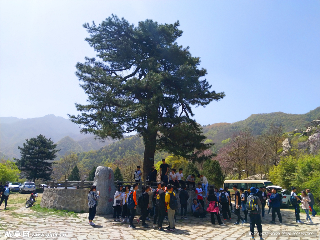 美丽的公园风景
