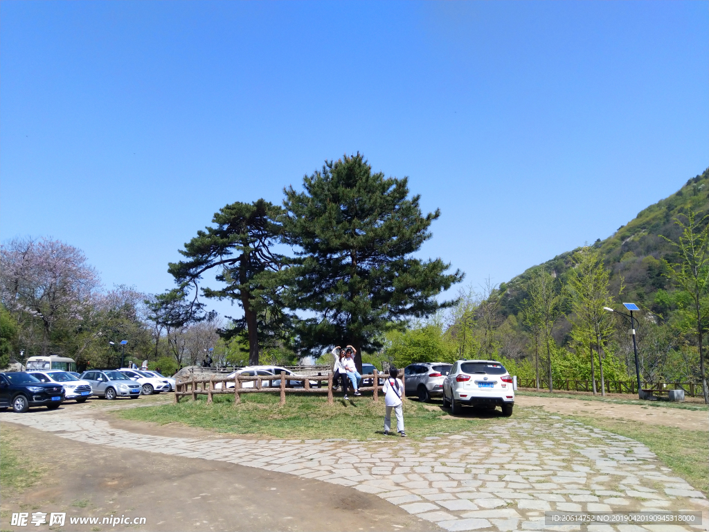 美丽的公园风景