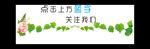 绿叶点击关注动图