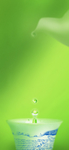 节气谷雨 茶杯 水滴 春 绿色