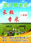 大米标签