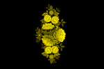 花纹