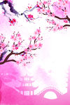 樱花背景