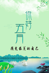 你好五月