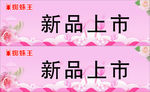 蜘蛛王新品上市
