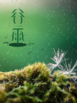 谷雨