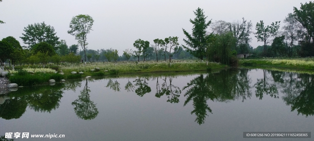 水乡风景