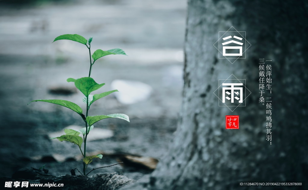 谷雨