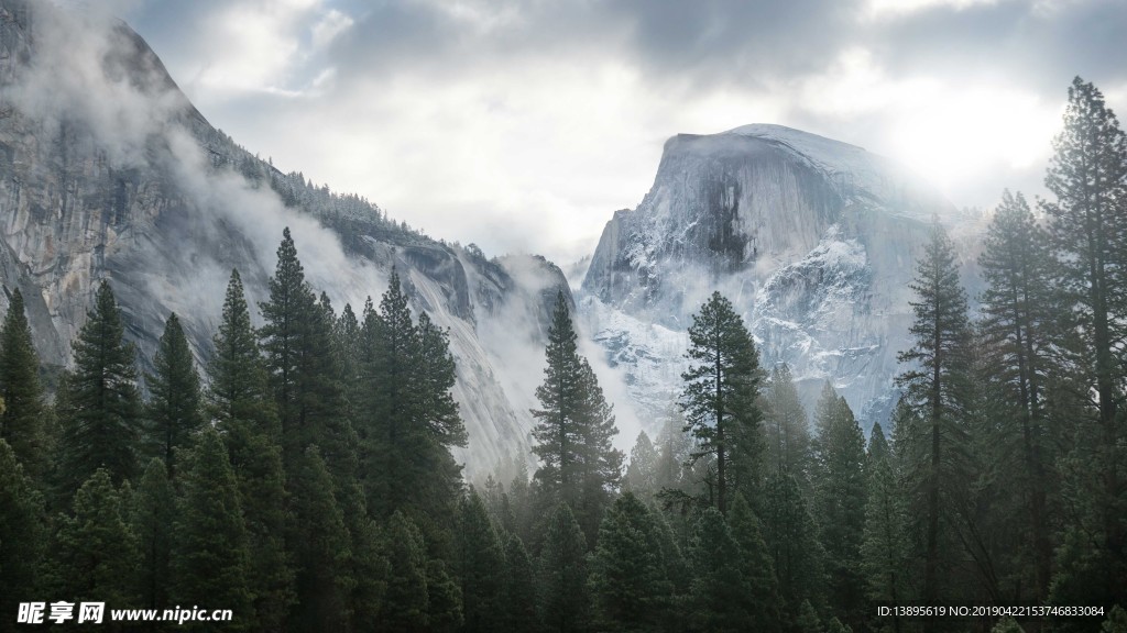 雪山 森林