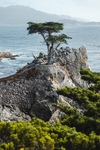 海景