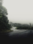 山路景色