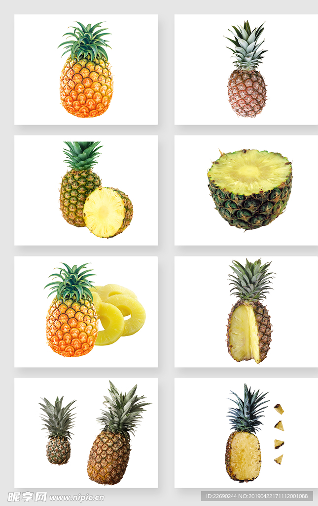 菠萝