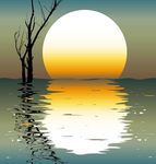 海面月亮