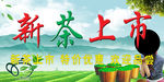 新茶上市