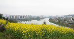 澧水 河 风光 景  自然