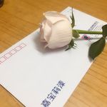 花与信封