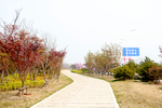 公园