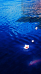 湖水背景