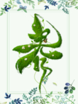 春季海报