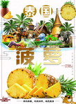 泰国菠萝
