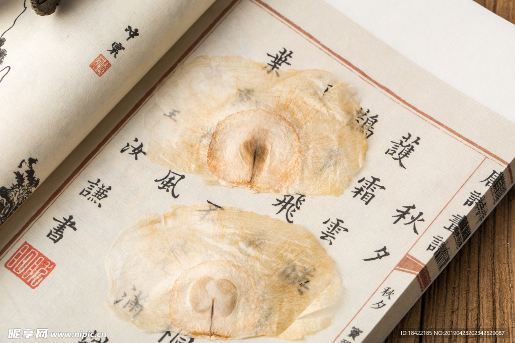 木蝴蝶
