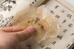 木蝴蝶