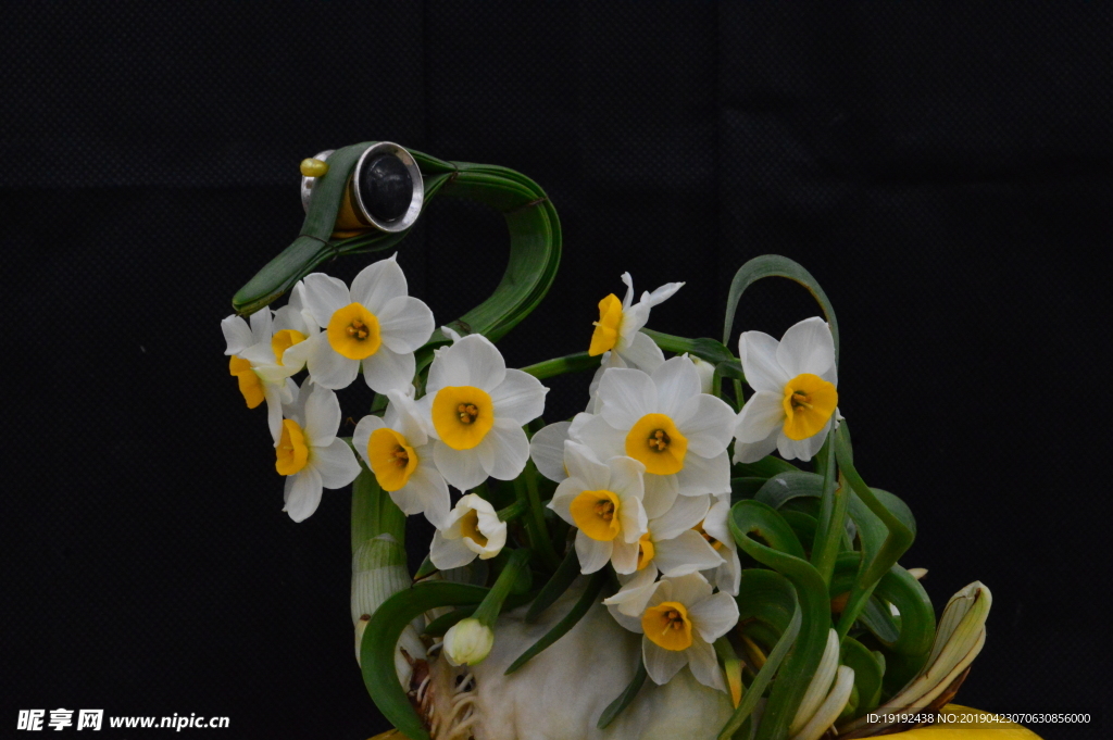 水仙花
