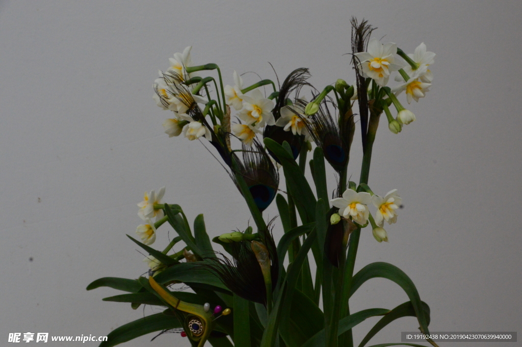 水仙花