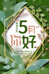五月你好