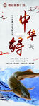 海鲜 中华鲟 中国风 梅花 鱼