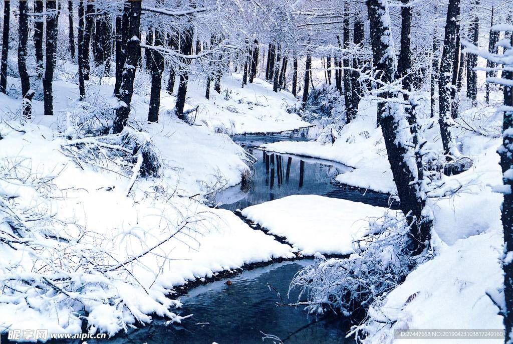 雪林
