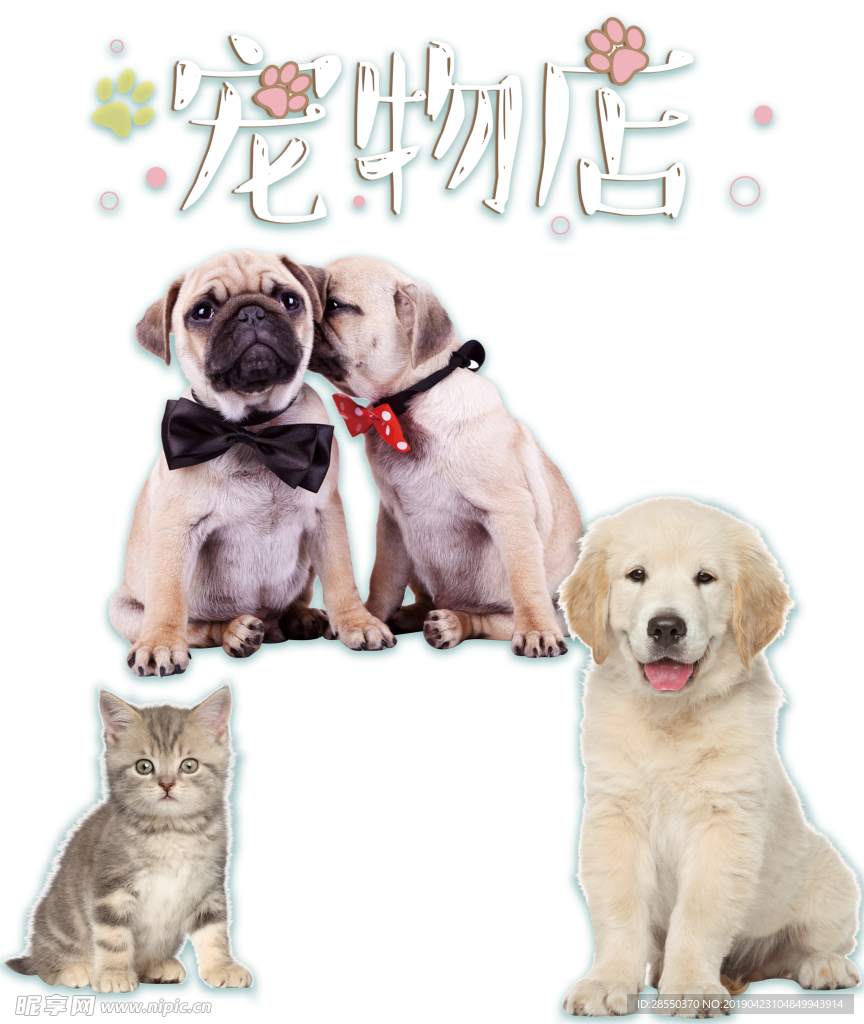 宠物店