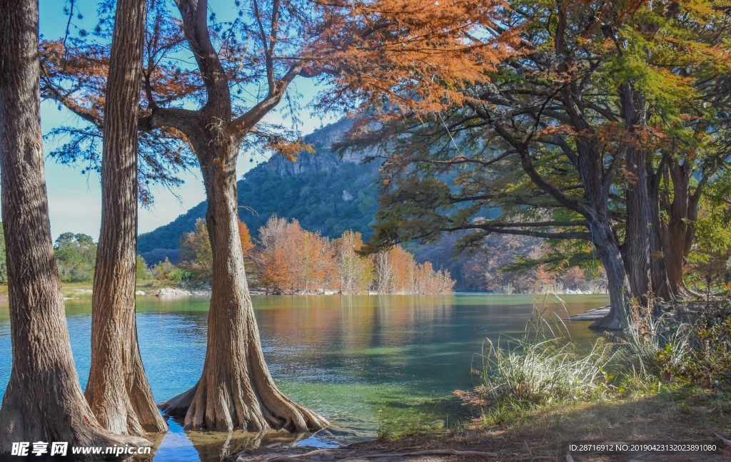 自然风观 风观 风景 路 树林