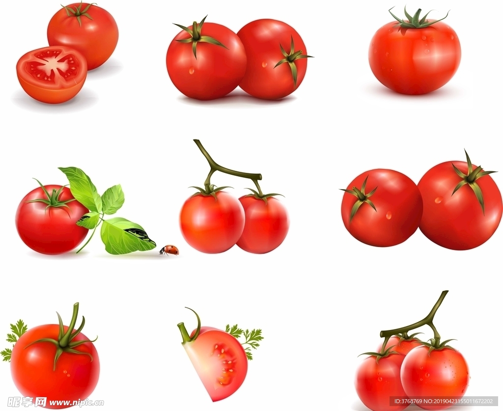 9款西红柿