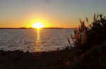 奥克兰海滨夕阳风光