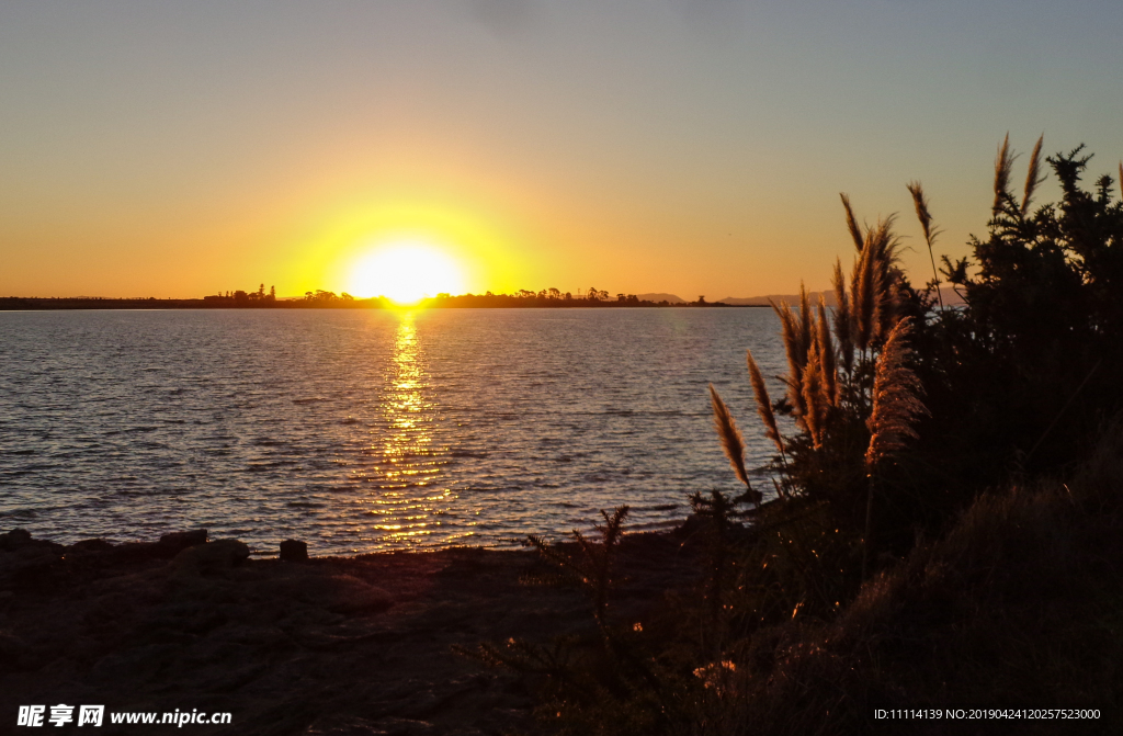 奥克兰海滨夕阳风光