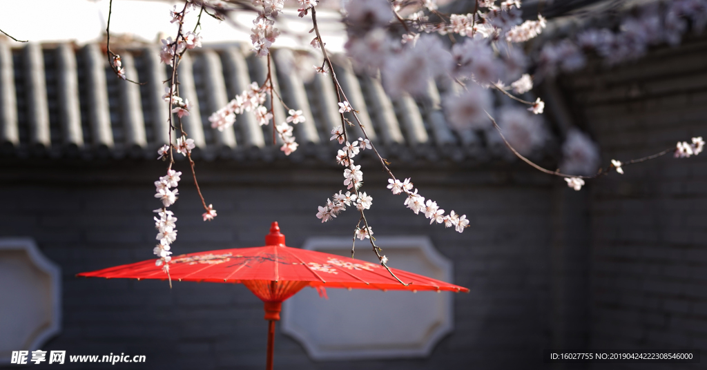 粉色桃花