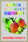 采摘节海报