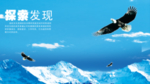 翱翔天空