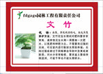 园林花卉文竹