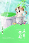 五月你好