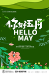 你好五月