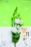 五月你好